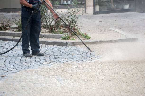 Best Animal Enclosure Cleaning  in Brewerton, NY